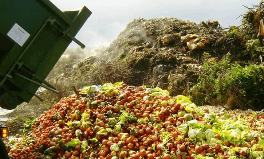 如何進(jìn)行無害化果蔬垃圾處理？